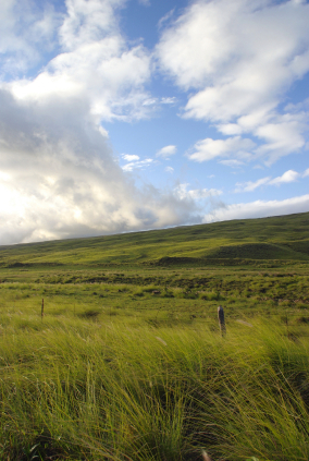 46+ Hawaii Big Island Ranch Tour&nbsp;Packages