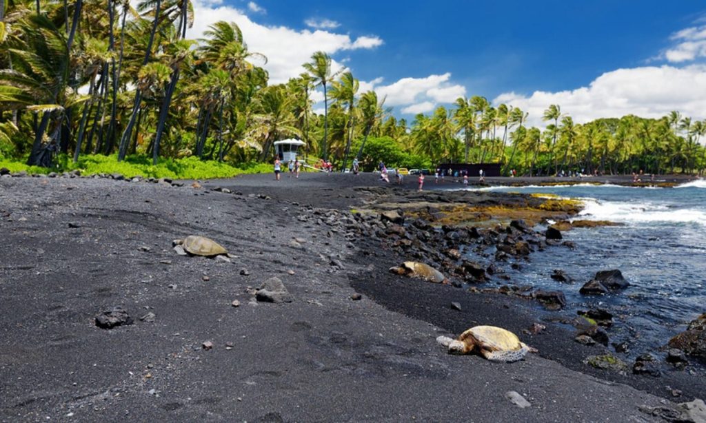 48+ Kona Tour Guide&nbsp;Package