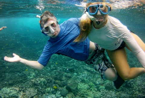 Kona Dolphin Snorkel Tours Packages