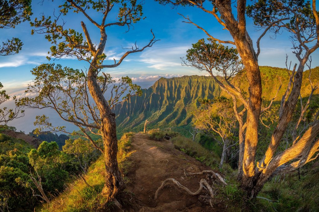 19+ Hawaii Island Tour Package&nbsp;Packages
