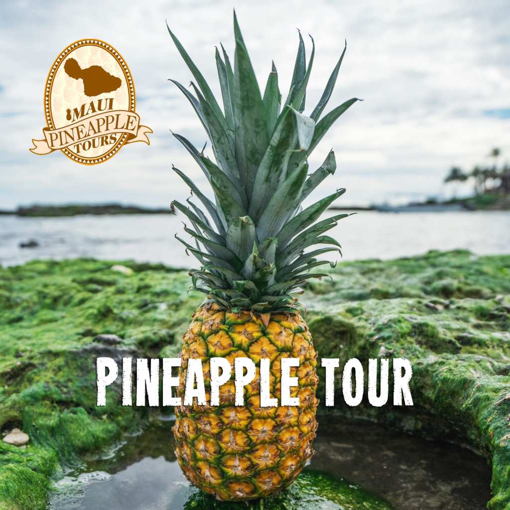 Exploring Kona Pineapple Tour Packages