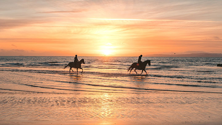 Hawaii Big Island Horseback Tour Packages