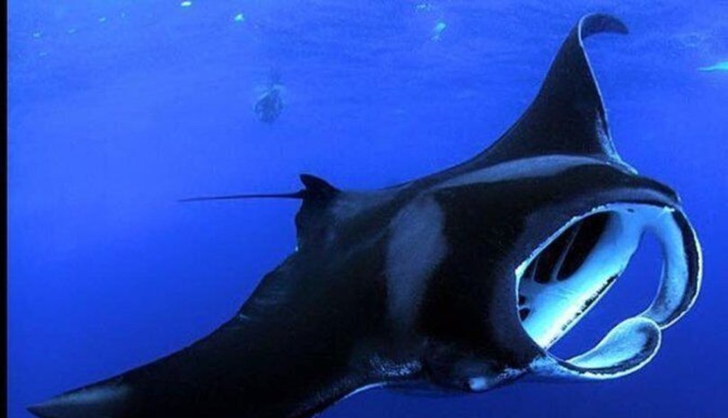 24+ Kona Summit Tour&nbsp;Package