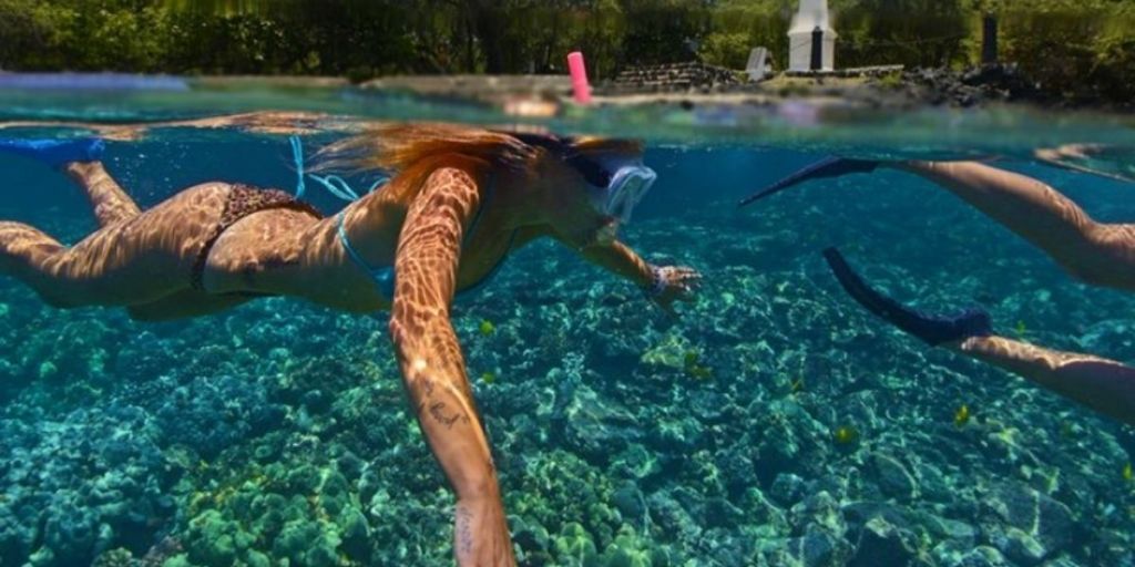 41+ Snorkel Tour Big&nbsp;Island