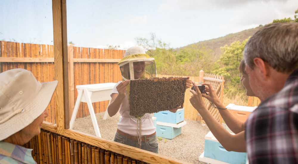 Exploring Tours Near Kona&nbsp;Package