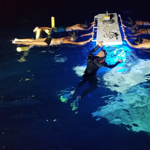 29+ My Kona Adventures Manta Ray Night Snorkel&nbsp;Packages