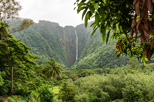 28+ Hawaii. Big Island