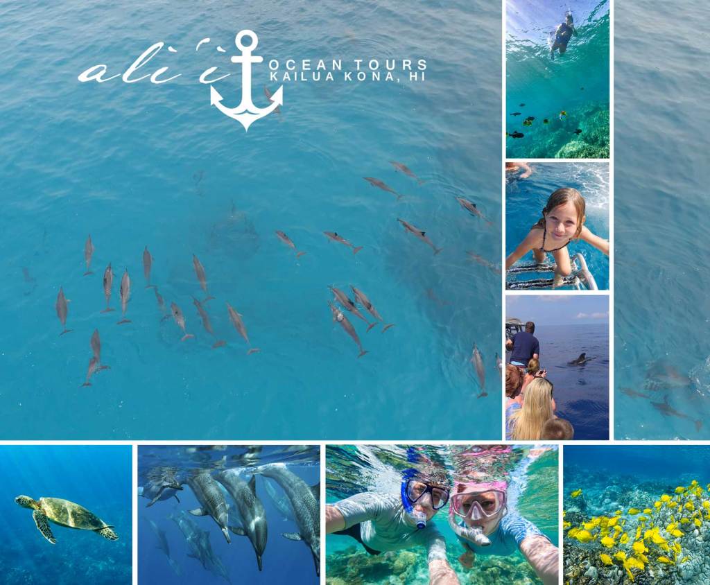 Best Captain Zodiac Snorkeling And Whale Watching Tours Kailua-Kona Hi Packages