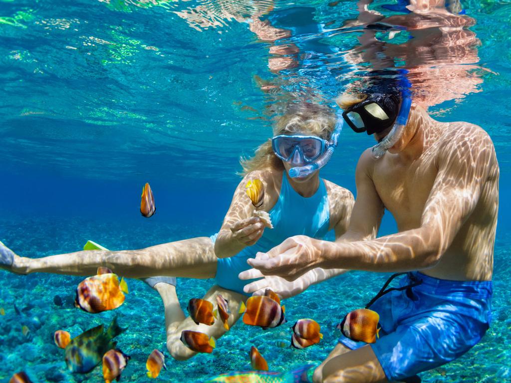 43+ Best Snorkeling Tour In Kona Hawaii Package