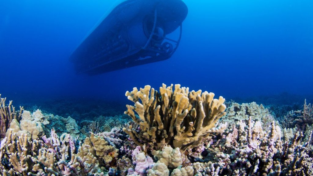 Best Submarine Tour Big Island Hawaii