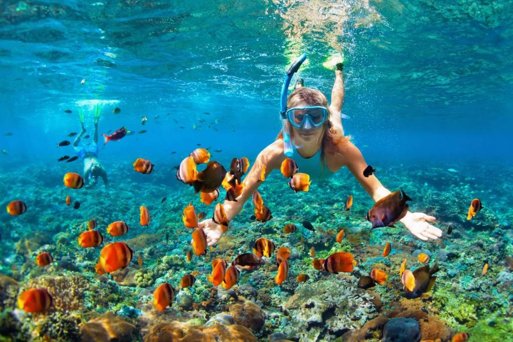 27+ Kona Best Snorkeling&nbsp;Package