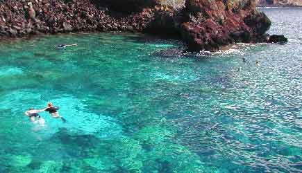 Amazing Kona Snorkel