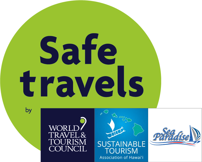 Amazing Best Kona Snorkeling Tours Packages