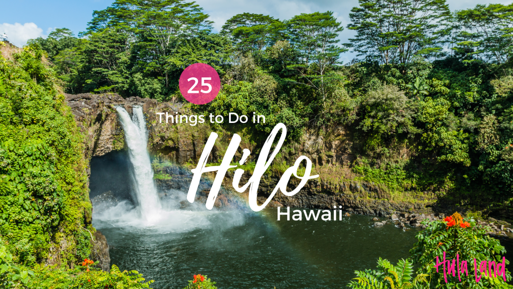 Amazing Hilo Zipline Over Kolekole Falls