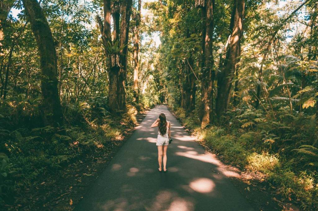 13+ Hawaii Big Island Travel&nbsp;Blog