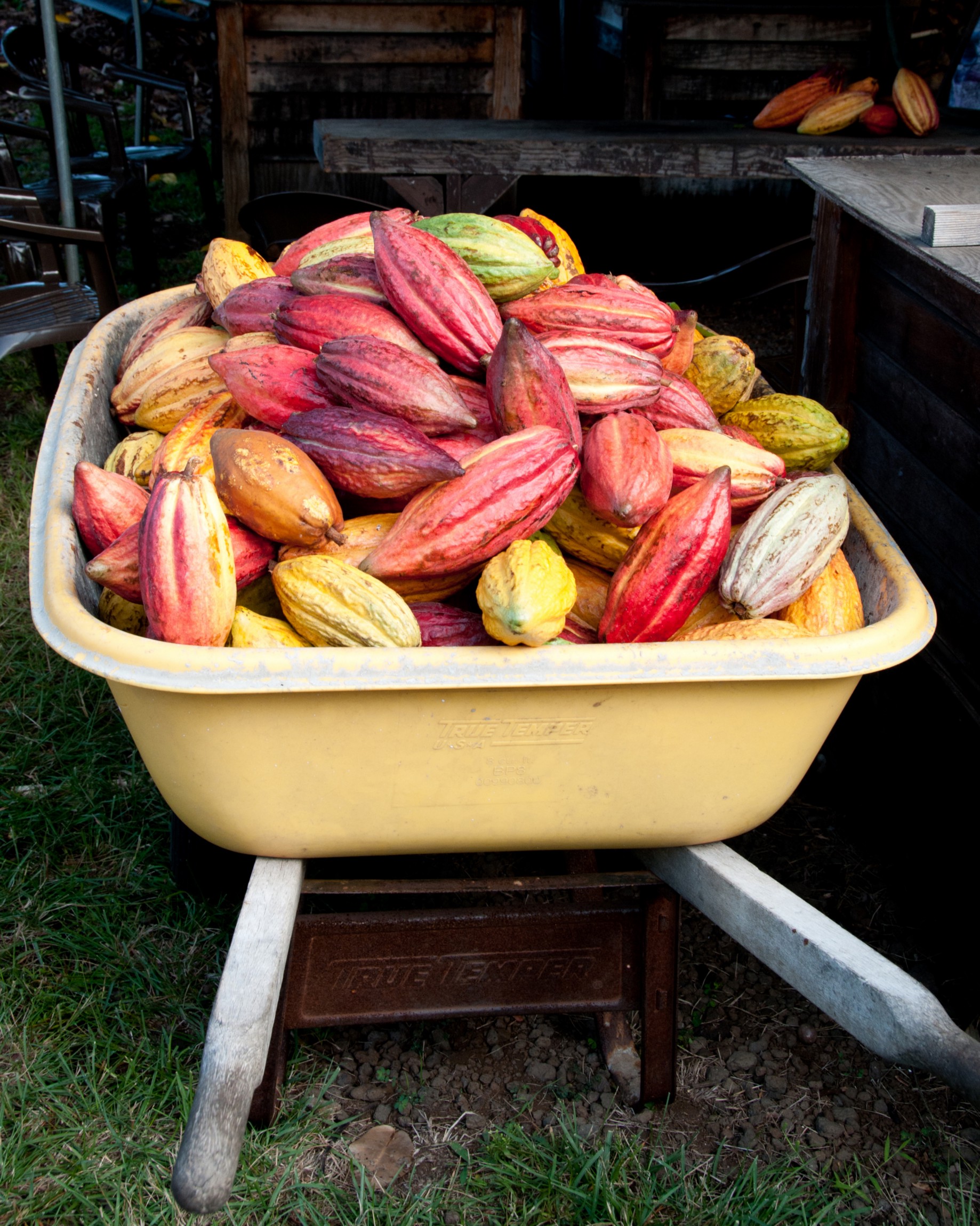 For a rare and wonderfully crafted chocolate experience on the big island, visitors who book a tour of the original hawaiian . Hawaii S Kona Coast Beckons With A Growing Folksy Fun Food Scene To Savor By April Orcutt Batw Travel Stories Medium