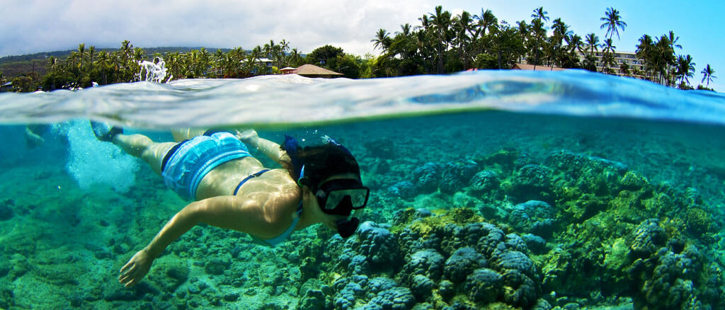 Best Snorkeling On The Big Island Of Hawaii&nbsp;Packages