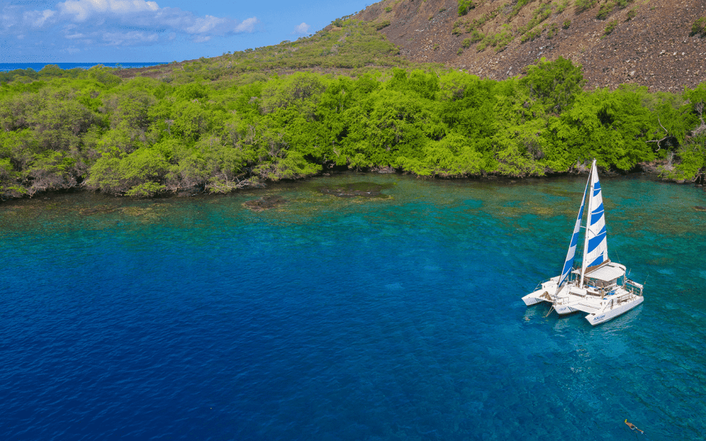Exploring Kona Hawaii Snorkeling Tours Packages