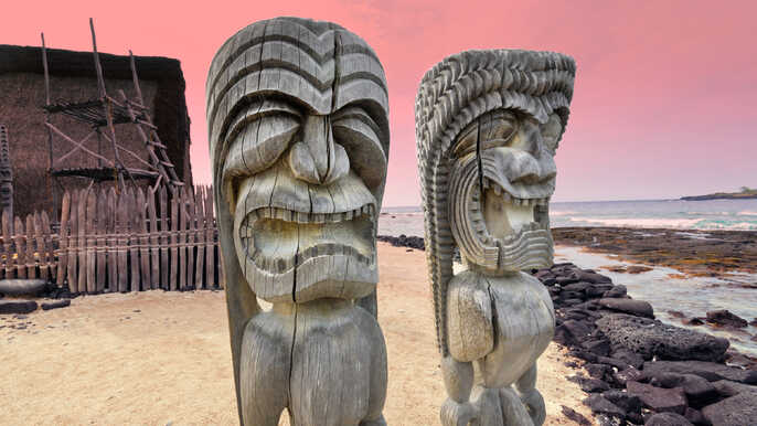 25+ Kona Boat Trips Packages